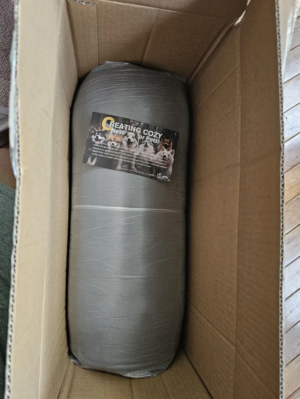 Sytopia 50